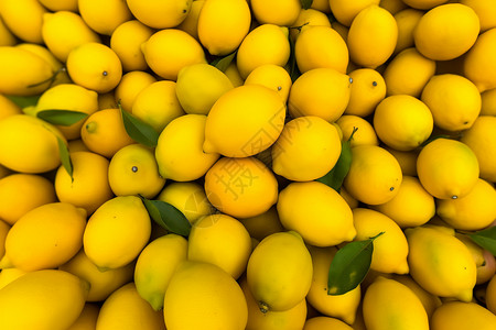 健康的柠檬背景图片