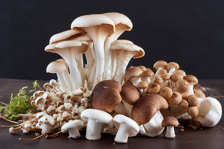 好吃的蘑菇背景图片