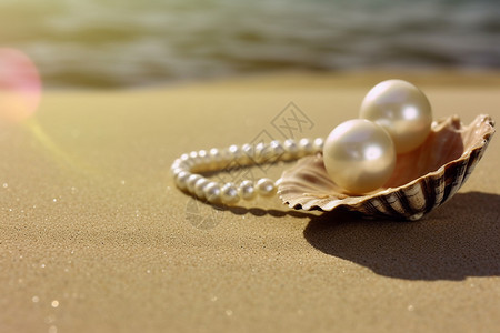 海边的珍珠图片