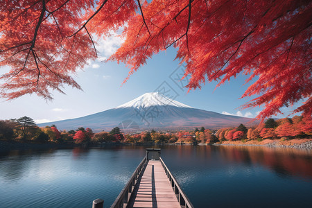 优美的富士山背景图片