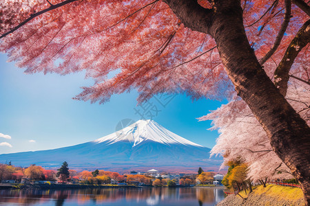 高高的富士山图片