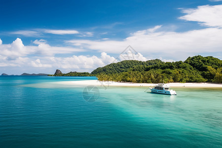 异国情调的花碧海蓝天背景