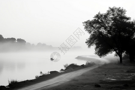 屈斜路湖树木云雾围绕的江边景色设计图片