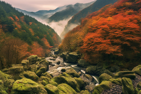 大宋御河大山中的秋天景色设计图片