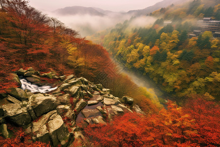 光雾山红叶美丽的山间景色设计图片