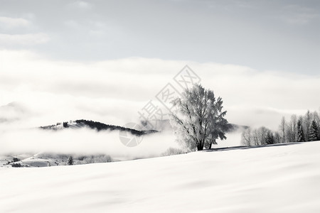 山地滑雪者白蒙蒙的山地背景