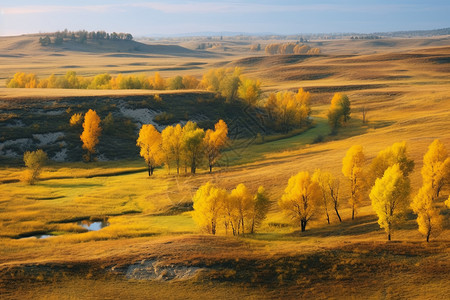 秋天的草原背景图片