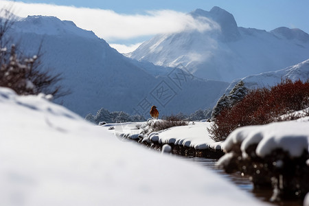 梦幻的雪山背景图片