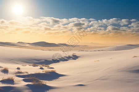 冬日中一望无际的草原背景图片