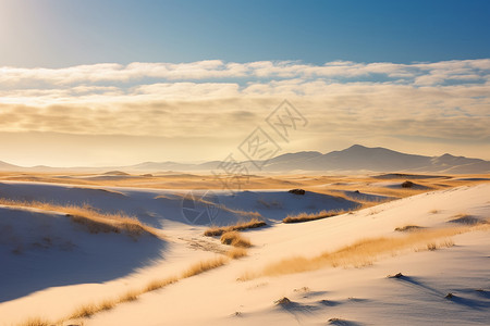 冬日里的草原高清图片