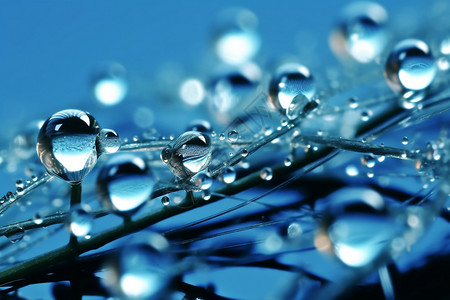 蓝色透明水滴背景图片