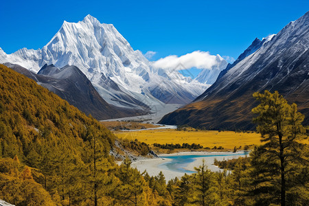 秋天的稻城亚丁唯美壮丽的雪山景观背景