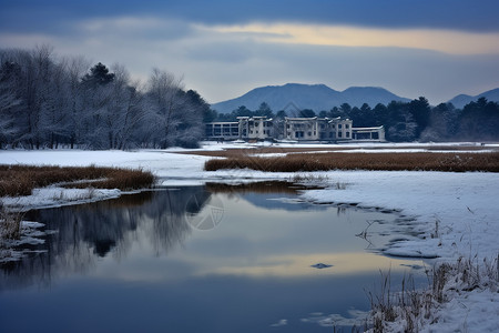 冬季的雪景图片