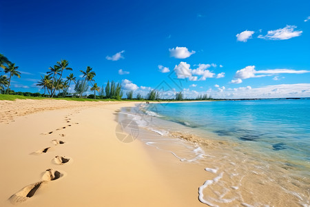 美丽的沙子海滩图片