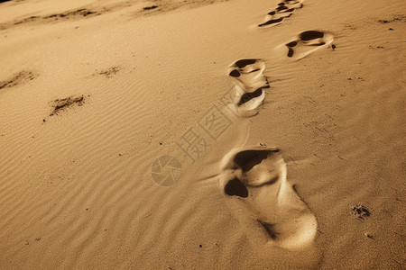 户外沙漠中的脚印图片