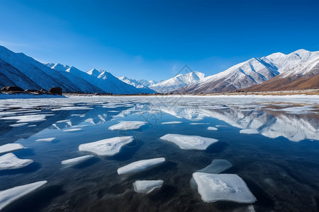 海洋中的冰块背景图片