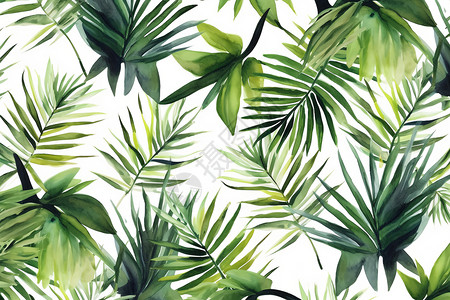 绿色的植物树叶背景图片