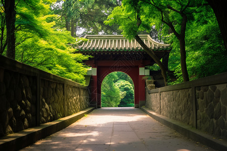 绿油油植物背景图片