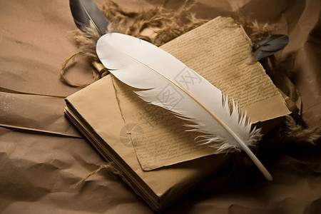 信纸上的羽毛背景图片