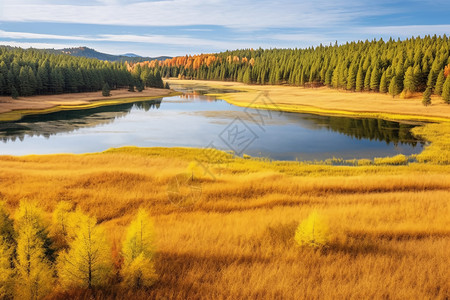 秋季的森林和湖泊图片