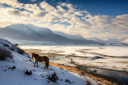 雪域高原背景图片