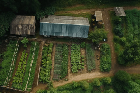 农村房屋素材农业蔬菜种植设计图片