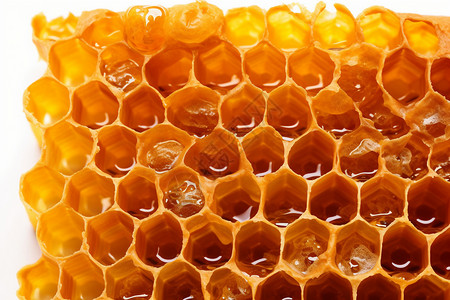 可以冲水喝的蜂蜜背景