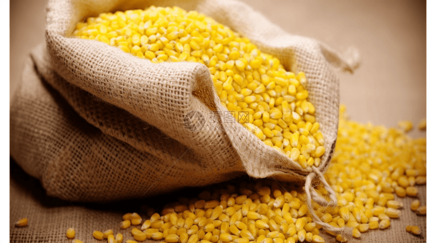 健康营养的玉米粒图片