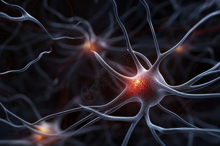 神经元细胞大脑神经元突触细胞背景
