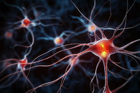 中间神经元大脑神经元细胞背景