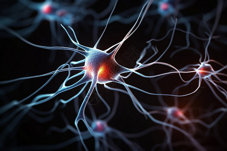 大脑神经元背景图片