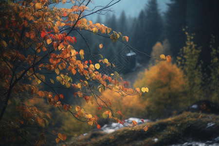 秋天的山林溪流背景图片