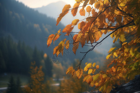 山林的秋天背景图片