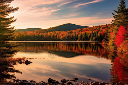 湖边森林的秋景图片