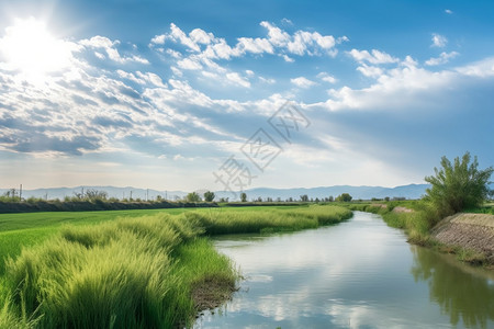 蓝天下的河流草原图片