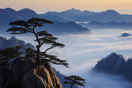 美丽黄山毛笔字美丽的黄山背景