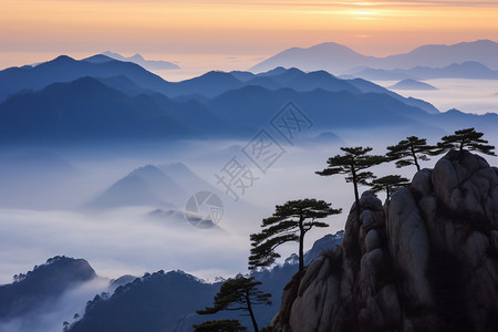 美丽黄山毛笔字黄山的美丽景色背景