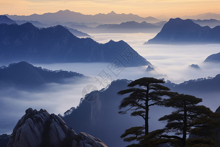 黄山的自然美景图片