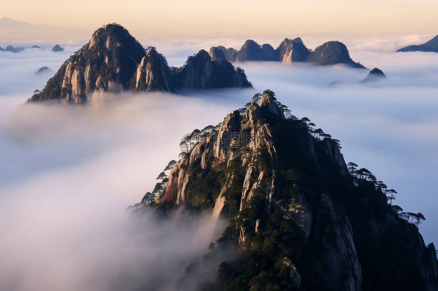 山脉云海松树图片