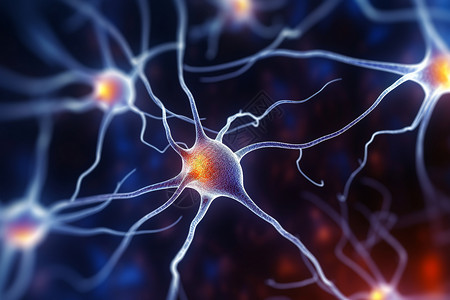大脑神经系统背景图片