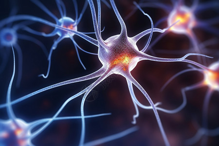 医学大脑神经系统图片
