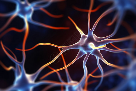 医学大脑神经元图片