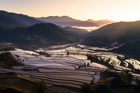 农业的梯田田地图片