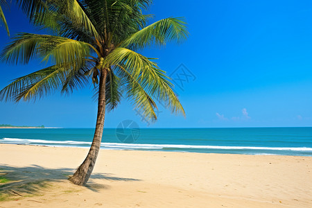 适合度假的沙滩景色背景图片