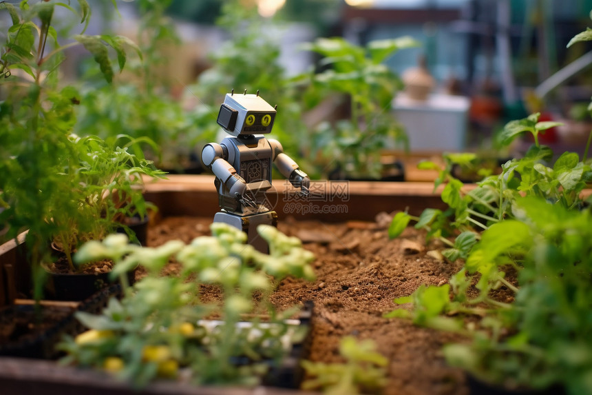 机器人在菜园里图片