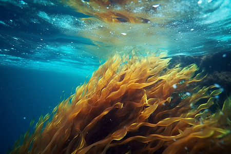 黄色海草海带藻类背景