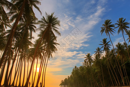 矢量椰树叶热带植物背景