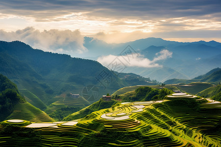 层层深入层层的梯田背景