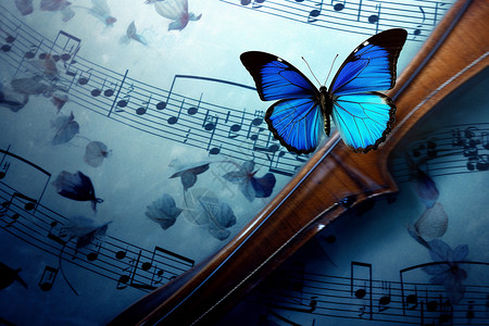 乐谱上的蓝色蝴蝶背景图片