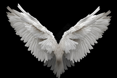 羽毛翅膀素材洁白的翅膀设计图片